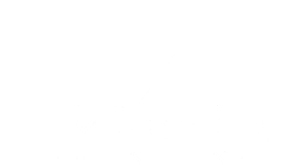 Jumpstart Evanston Logo in white